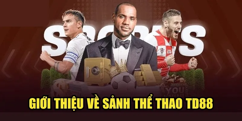 Giới thiệu về sảnh thể thao TD88